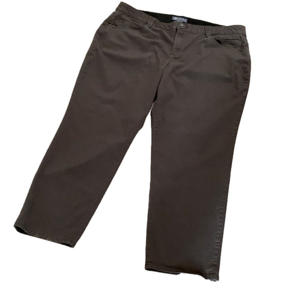 DEMOCRACY Ab solution Pants, Size 24W, Brown.